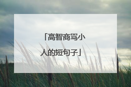 高智商骂小人的短句子