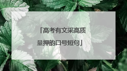 高考有文采高质量押韵口号短句