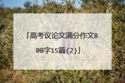 高考议论文满分作文800字15篇(2)
