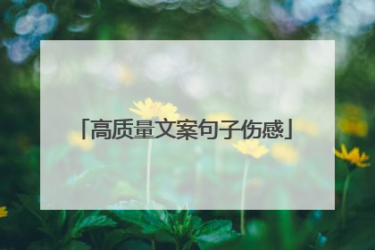 高质量文案句子伤感
