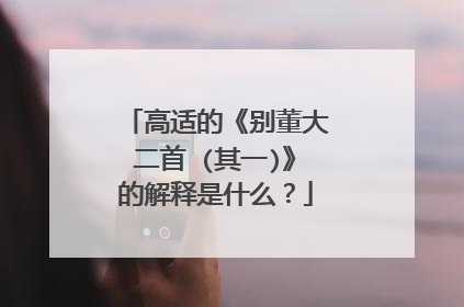 高适的《别董大二首 (其一)》的解释是什么？