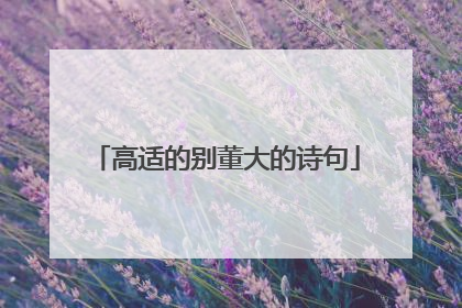 高适的别董大的诗句
