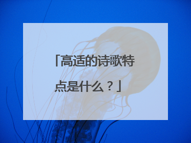 高适的诗歌特点是什么？