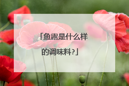 鱼露是什么样的调味料?