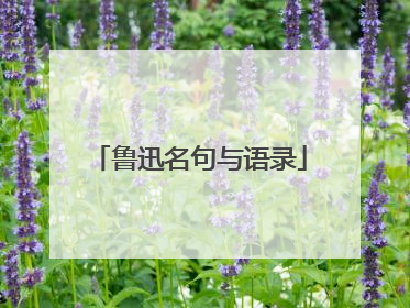 鲁迅名句与语录