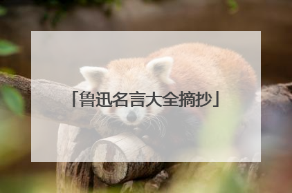 鲁迅名言大全摘抄