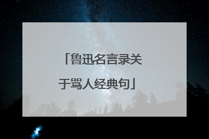 鲁迅名言录关于骂人经典句