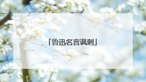 鲁迅名言讽刺