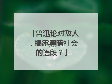 鲁迅论对敌人，揭露黑暗社会的语段？