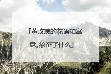 黄玫瑰的花语和寓意,象征了什么