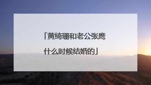 黄绮珊和老公张鹰什么时候结婚的