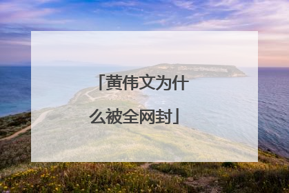 黄伟文为什么被全网封