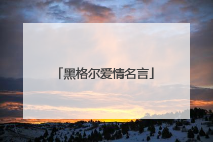 黑格尔爱情名言