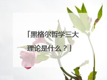 黑格尔哲学三大理论是什么?