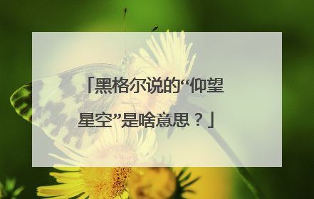 黑格尔说的“仰望星空”是啥意思？