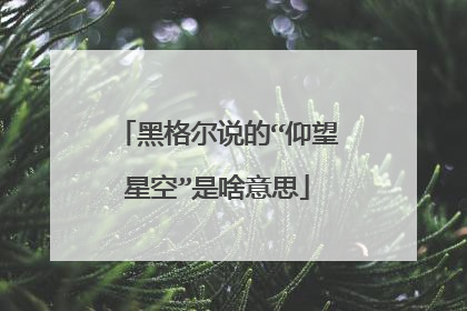 黑格尔说的“仰望星空”是啥意思