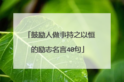 鼓励人做事持之以恒的励志名言40句