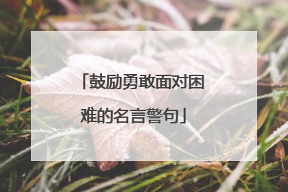 鼓励勇敢面对困难的名言警句