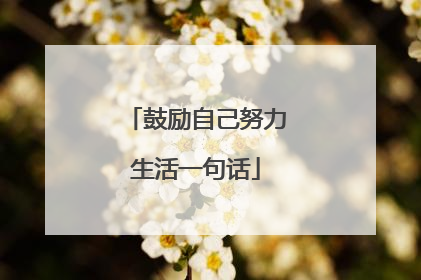 鼓励自己努力生活一句话