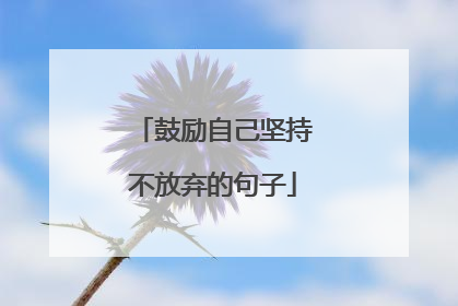 鼓励自己坚持不放弃的句子