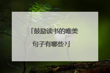 鼓励读书的唯美句子有哪些?