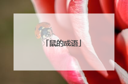鼠的成语