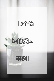 3个简短的爱国事例