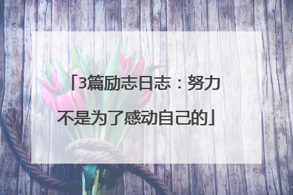 3篇励志日志：努力不是为了感动自己的