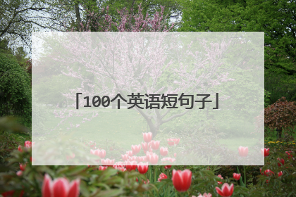 100个英语短句子
