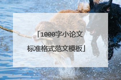 1000字小论文标准格式范文模板