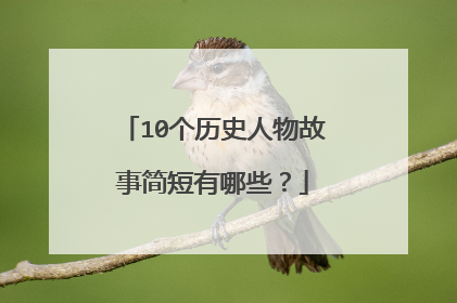 10个历史人物故事简短有哪些？