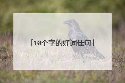 10个字的好词佳句