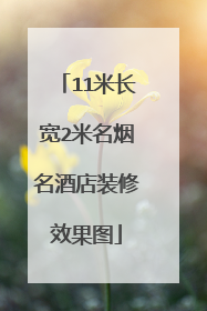 11米长宽2米名烟名酒店装修效果图