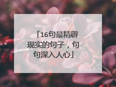 16句最精辟现实的句子，句句深入人心