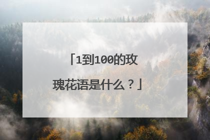1到100的玫瑰花语是什么？