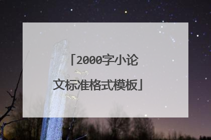 2000字小论文标准格式模板