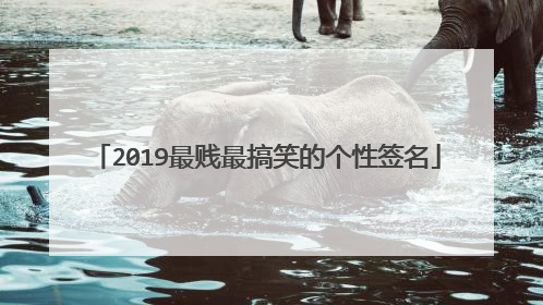 2019最贱最搞笑的个性签名