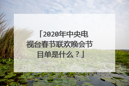 2020年中央电视台春节联欢晚会节目单是什么?