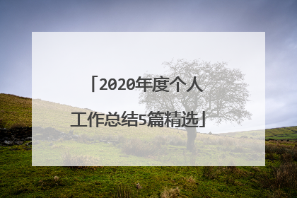 2020年度个人工作总结5篇精选