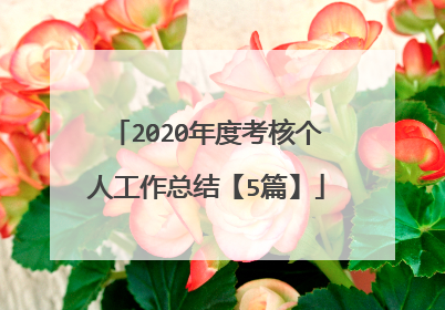 2020年度考核个人工作总结【5篇】