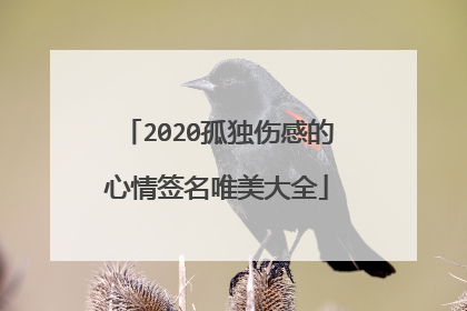 2020孤独伤感的心情签名唯美大全