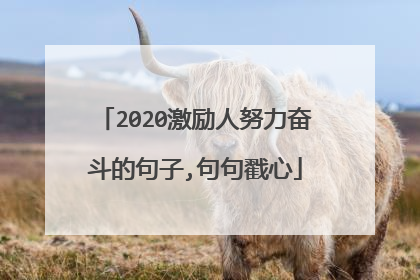 2020激励人努力奋斗的句子,句句戳心