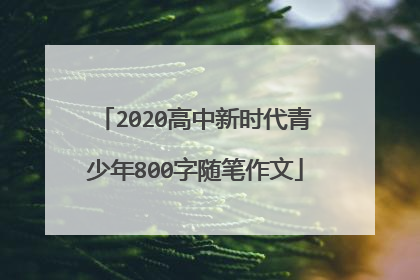 2020高中新时代青少年800字随笔作文