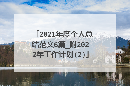 2021年度个人总结范文6篇_附2022年工作计划(2)