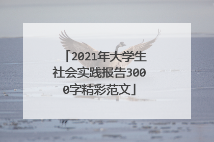 2021年大学生社会实践报告3000字精彩范文