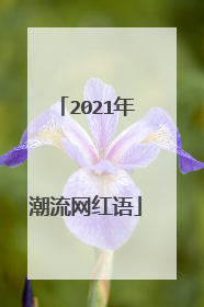2021年潮流网红语
