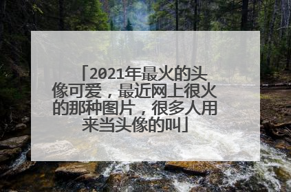 2021年最火的头像可爱,最近网上很火的那种图片,很多人用来当头像的叫