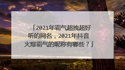 2021年霸气超拽超好听的网名，2021年抖音火爆霸气的昵称有哪些？