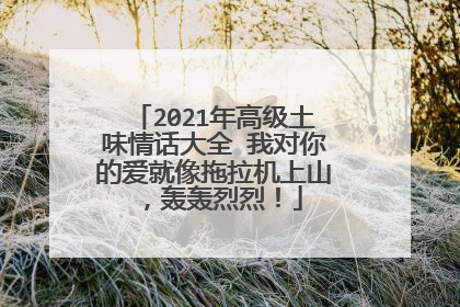 2021年高级土味情话大全 我对你的爱就像拖拉机上山，轰轰烈烈！
