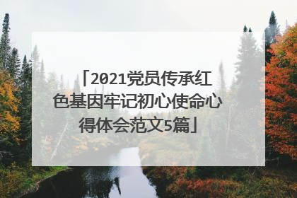 2021党员传承红色基因牢记初心使命心得体会范文5篇